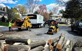 Best Aeration Services  in Sutton Alpine, AK