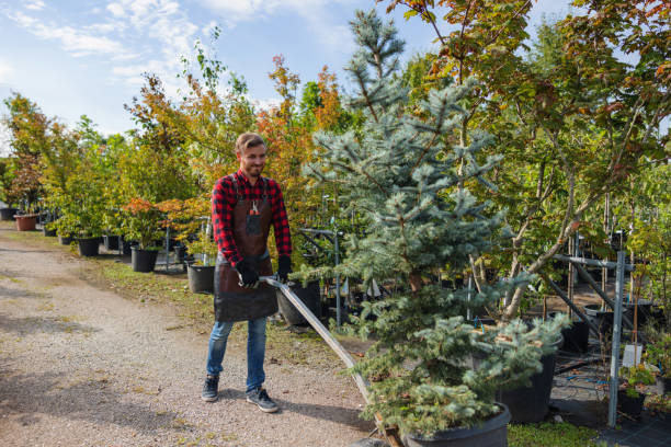 Best Tree Removal  in Sutton Alpine, AK